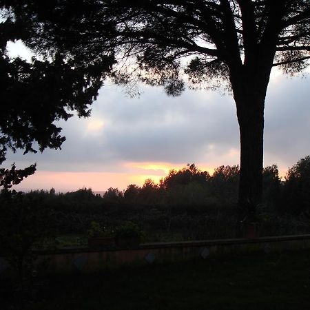 مبيت وإفطار Salemi Ai Cipressi المظهر الخارجي الصورة