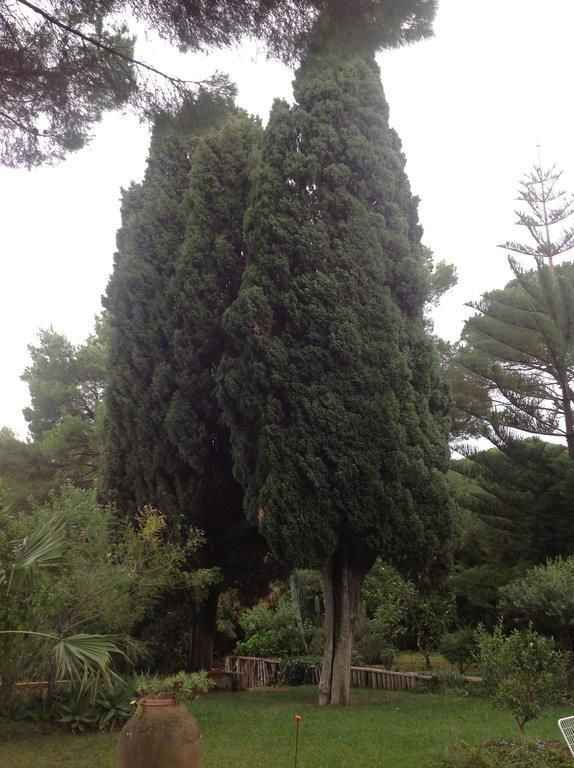 مبيت وإفطار Salemi Ai Cipressi المظهر الخارجي الصورة